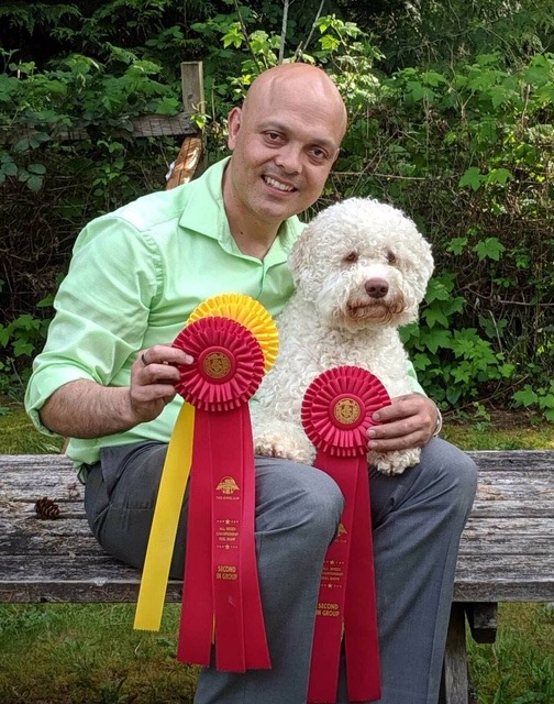 Bianco the Lagotto Romagnolo at Dog Show with Ribbons