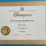 Lagotto Romagnolo Dog Champion Certificate Bianco