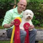 Bianco the Lagotto Dog with Awards