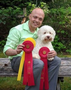 Bianco the Lagotto Dog with Awards