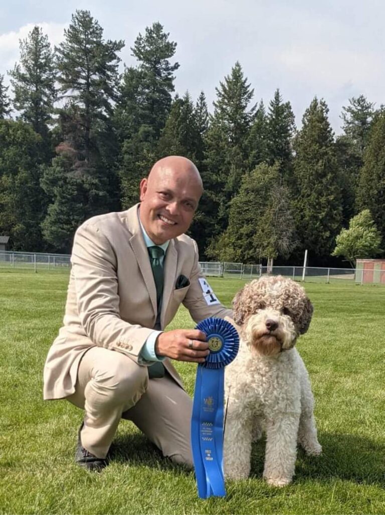 Lagotto Romagnolo Dog and handler on grass with blue ribbon