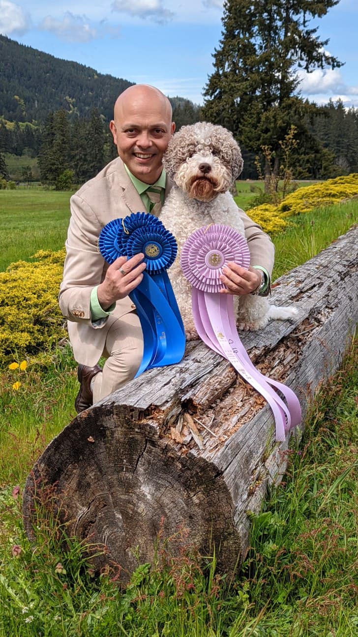 Lagotto Romagnolo Dog and Handler on a log with ribbon awards.
