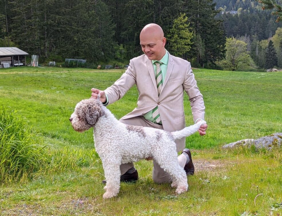 Lagotto Romagnolo dog Basil stacked with handler kneeling in green grassy field