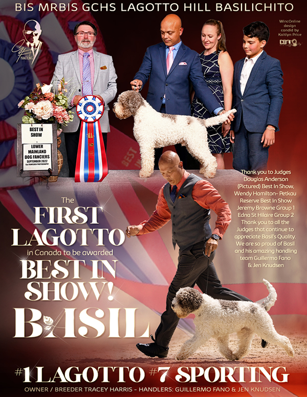 lagotto romagnolo basil best in show