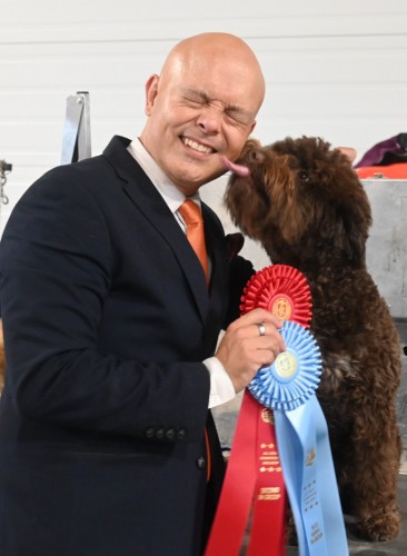 Danny the Lagotto Romagnolo at Dog Show with Ribbons