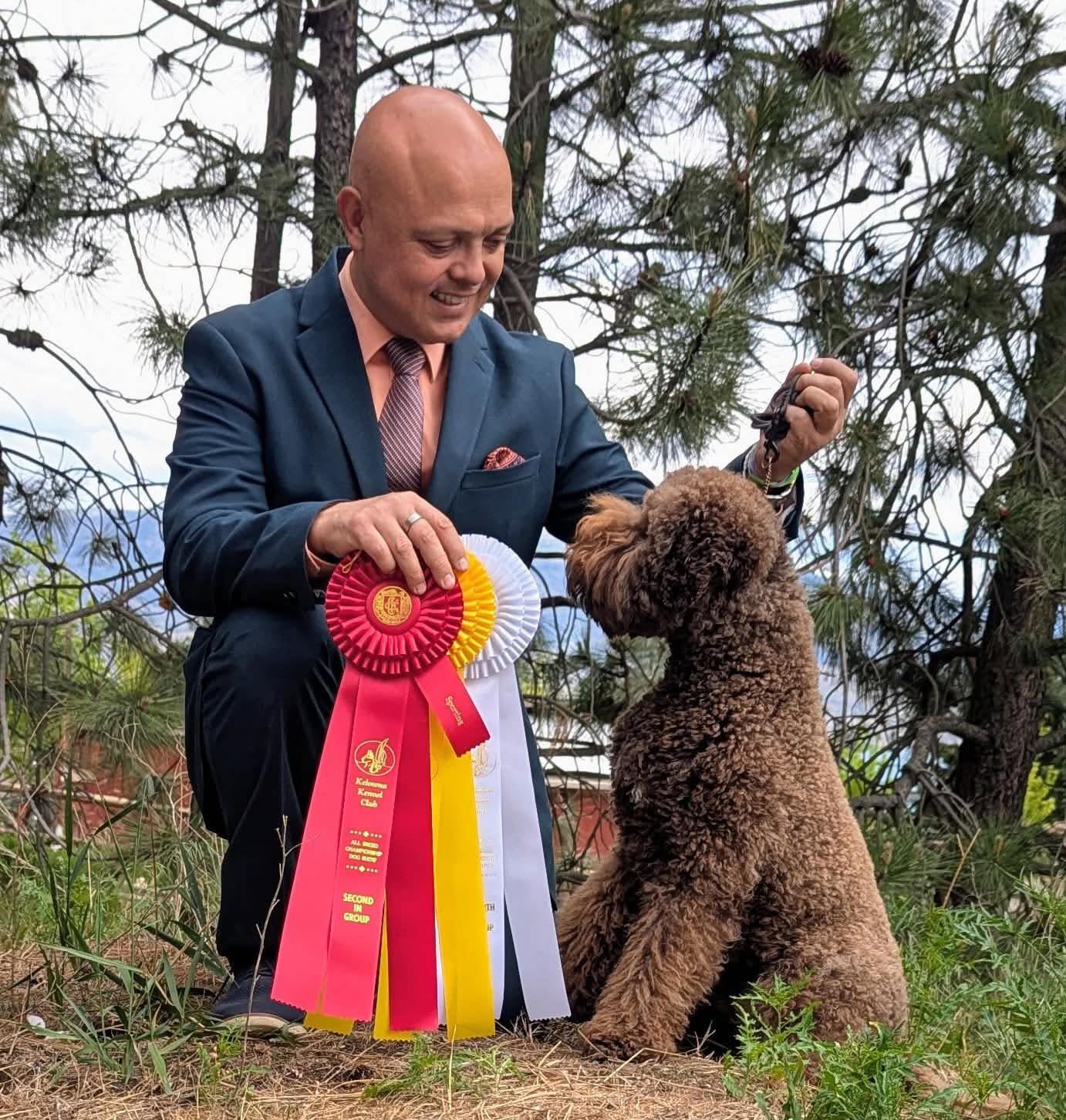 Reggie the Lagotto Romagnolo dog with handler and Award Ribbons