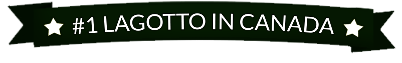 green banner with white text containing the phrase Number 1 Lagotto in Canada for the past 7 years